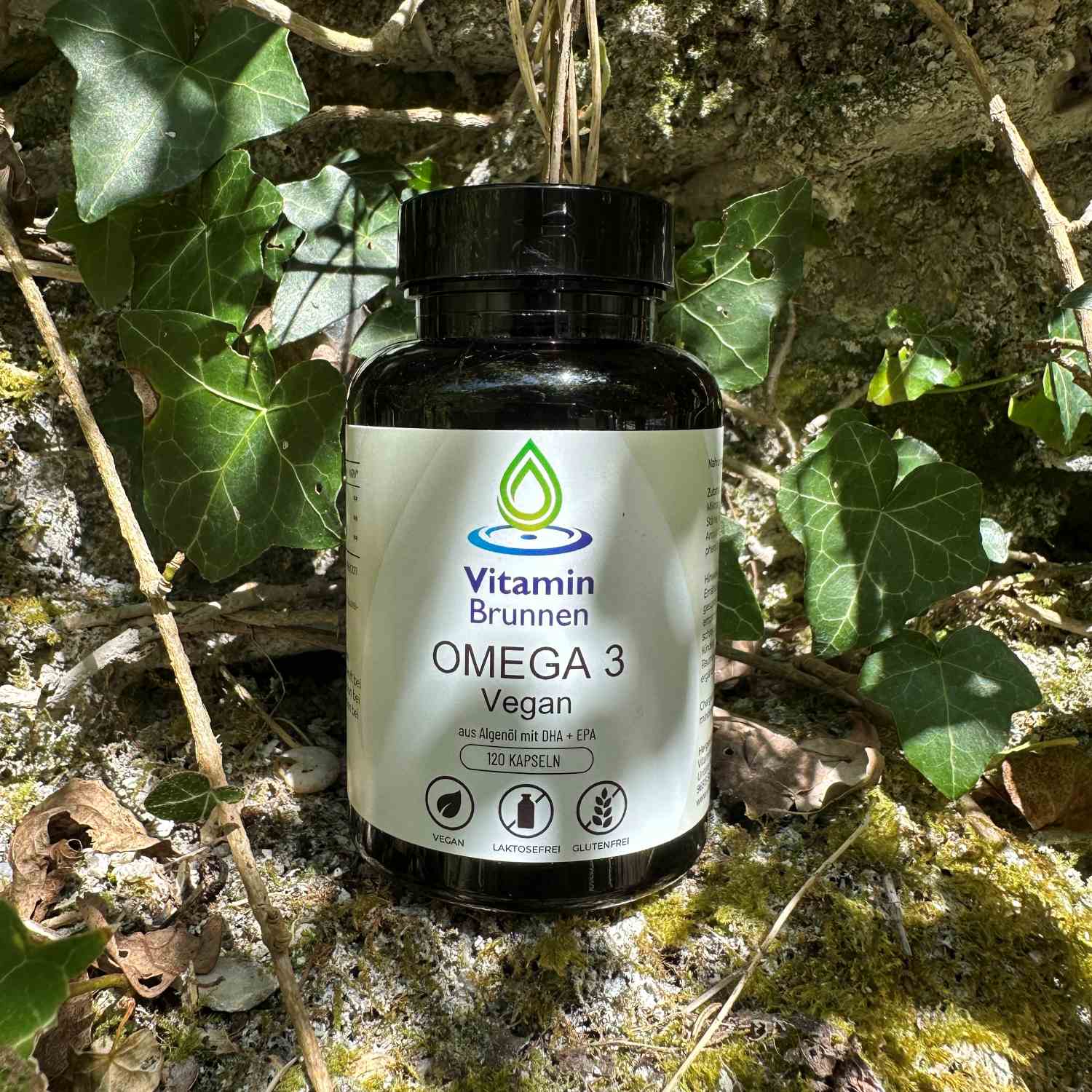 Omega 3 Kapseln vegan 120 Stk.