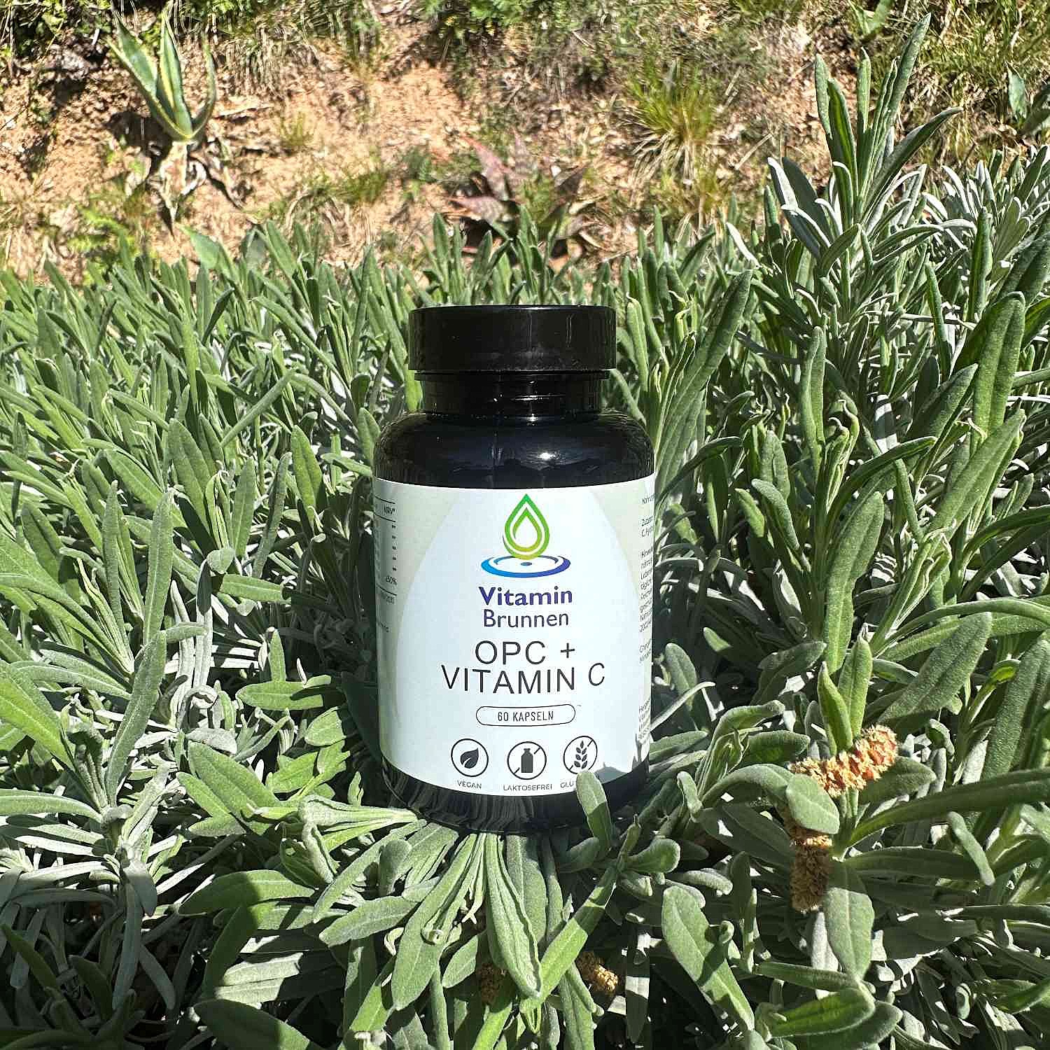 OPC + Vitamin C Kapseln vegan 60 Stk.