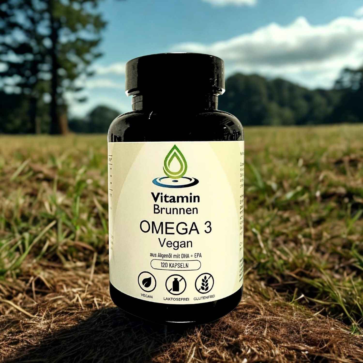 Omega 3 Kapseln vegan 120 Stk.