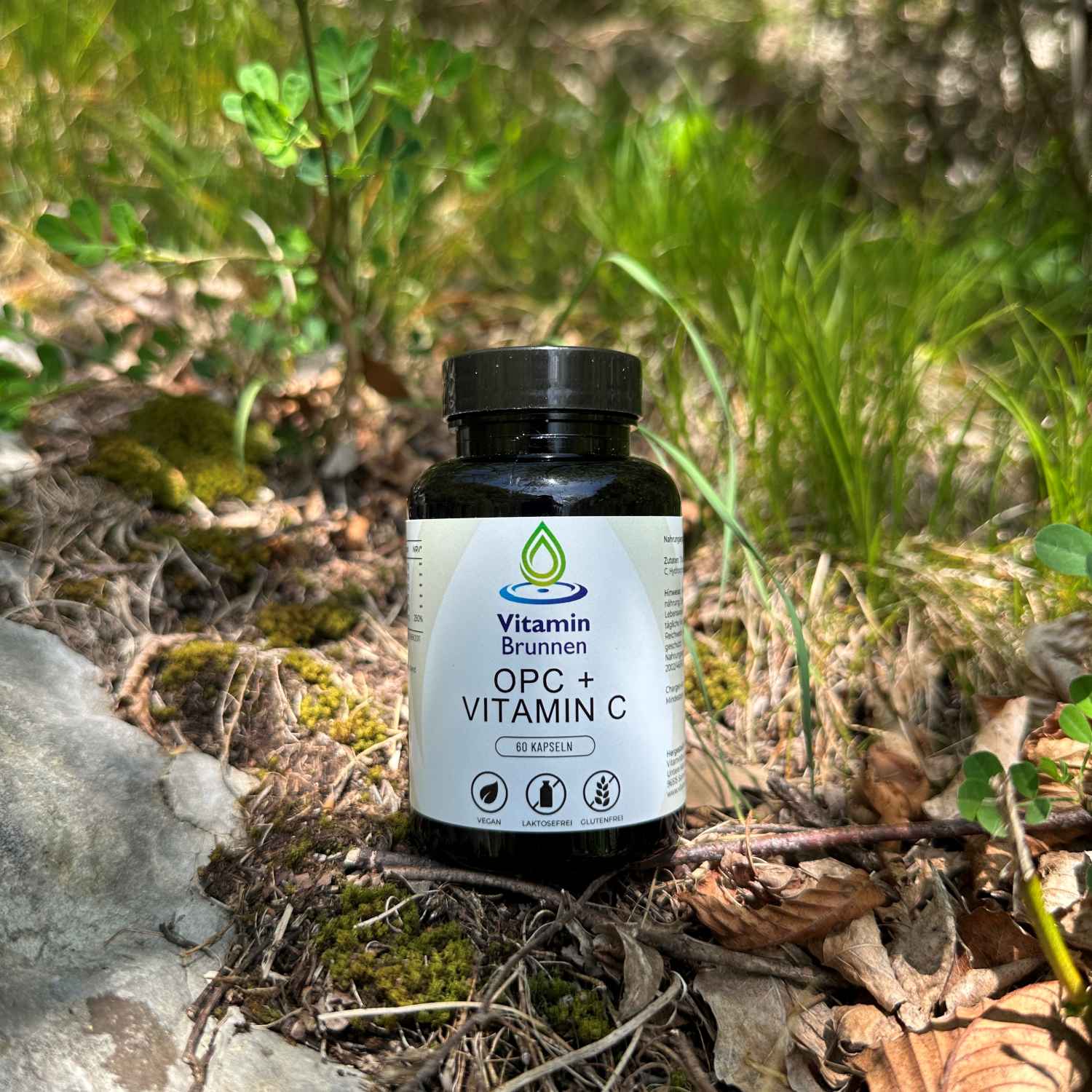 OPC + Vitamin C Kapseln vegan 60 Stk.