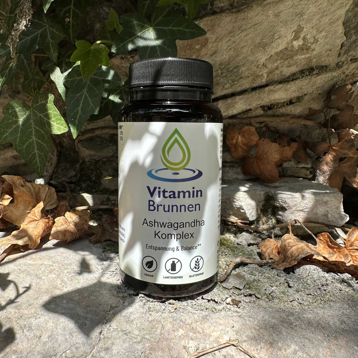 Ashwaganda-Komplex-Vitaminbrunnen-1