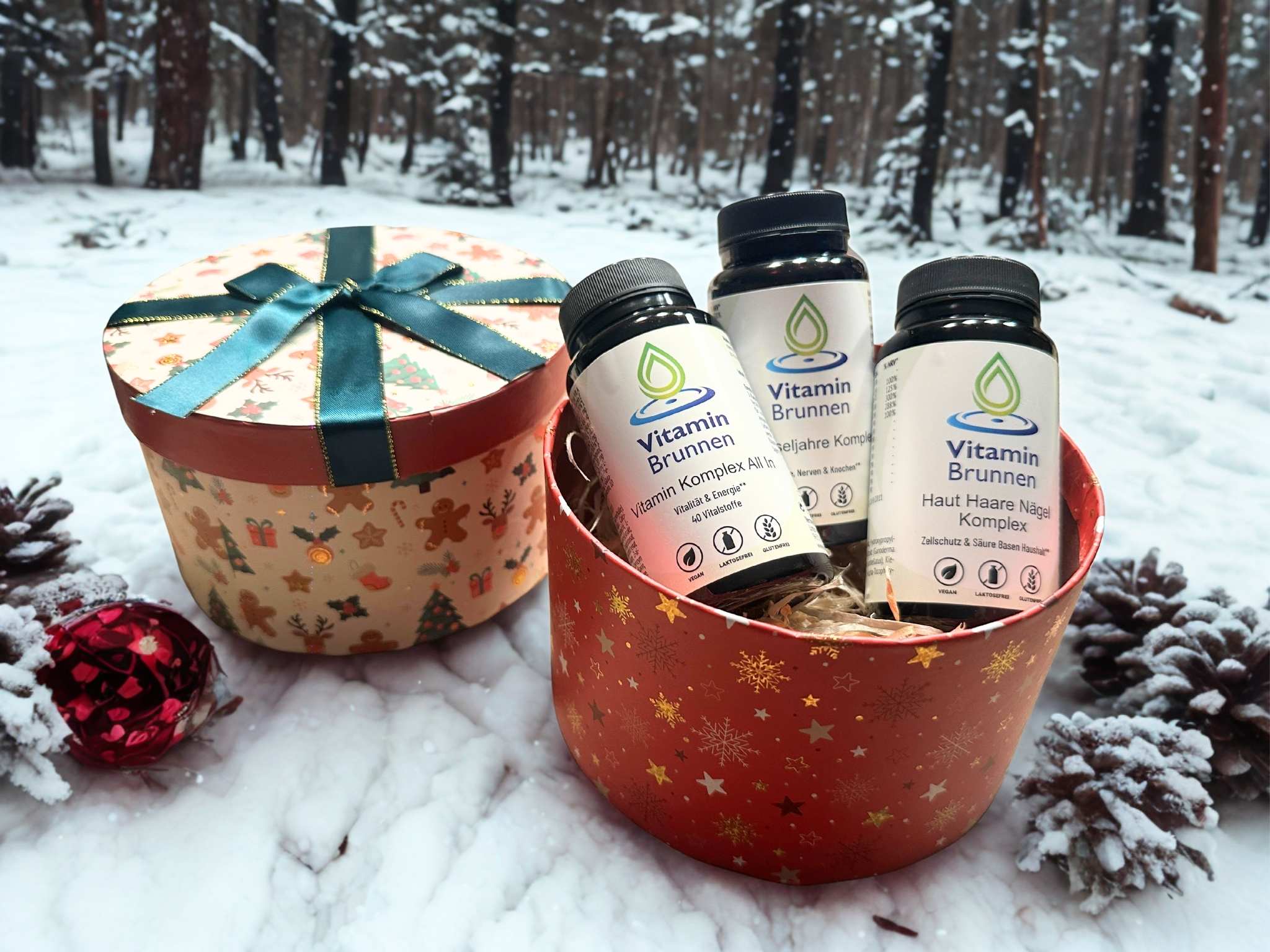 Vitaminbrunnen Vitaminbox Weihnachten (2)