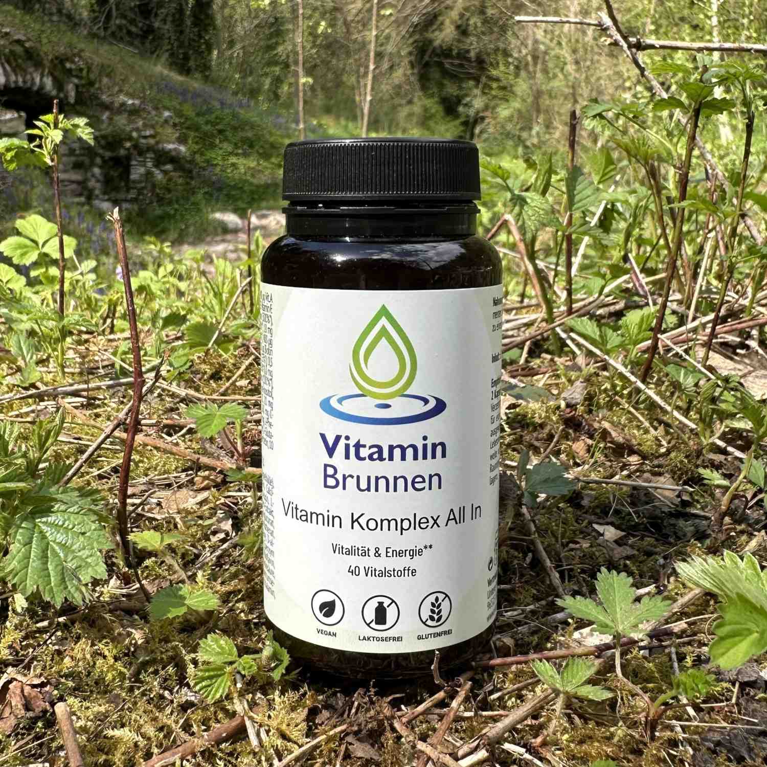 Vitamin-Komplex-Vitaminbrunnen-1