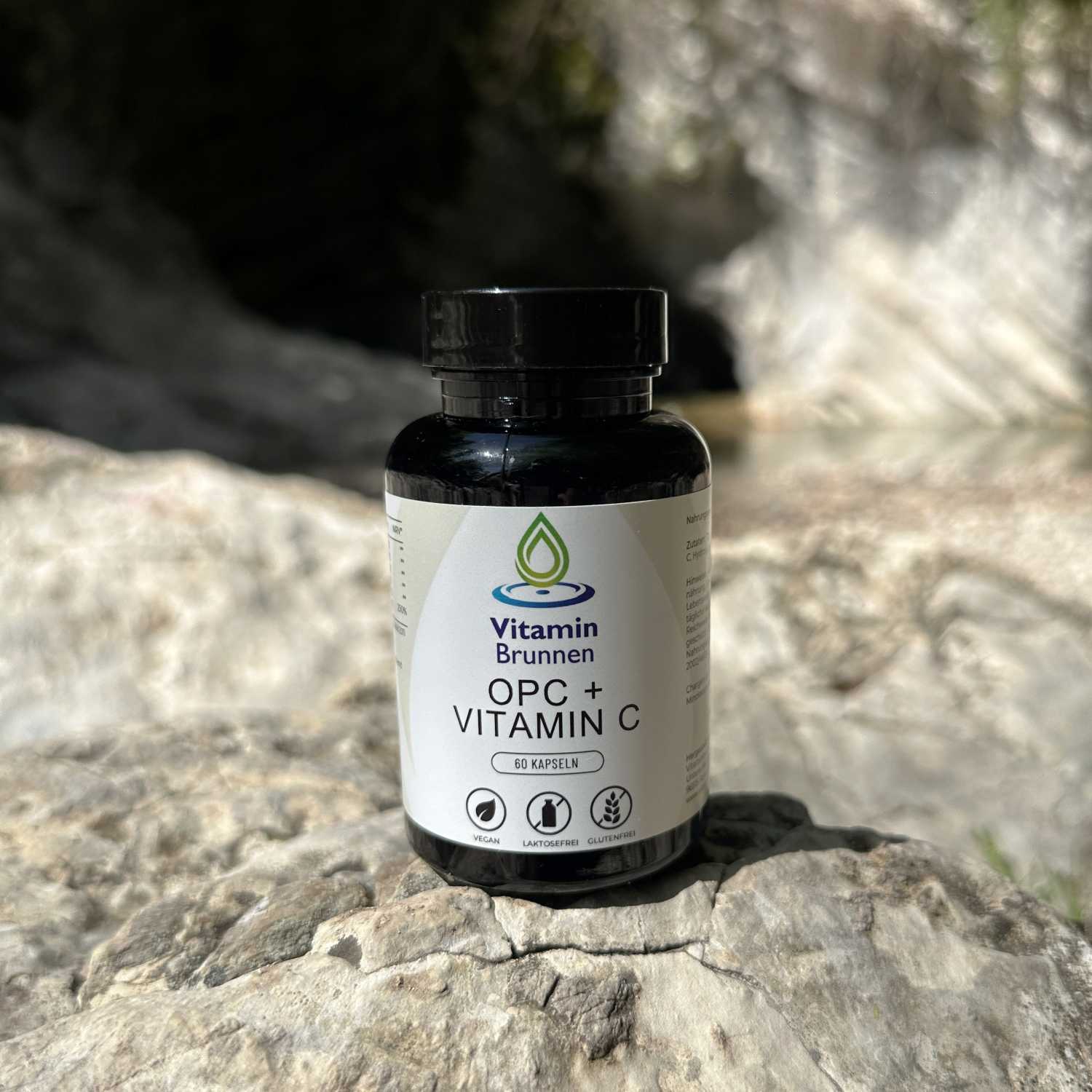 OPC + Vitamin C Kapseln vegan 60 Stk.