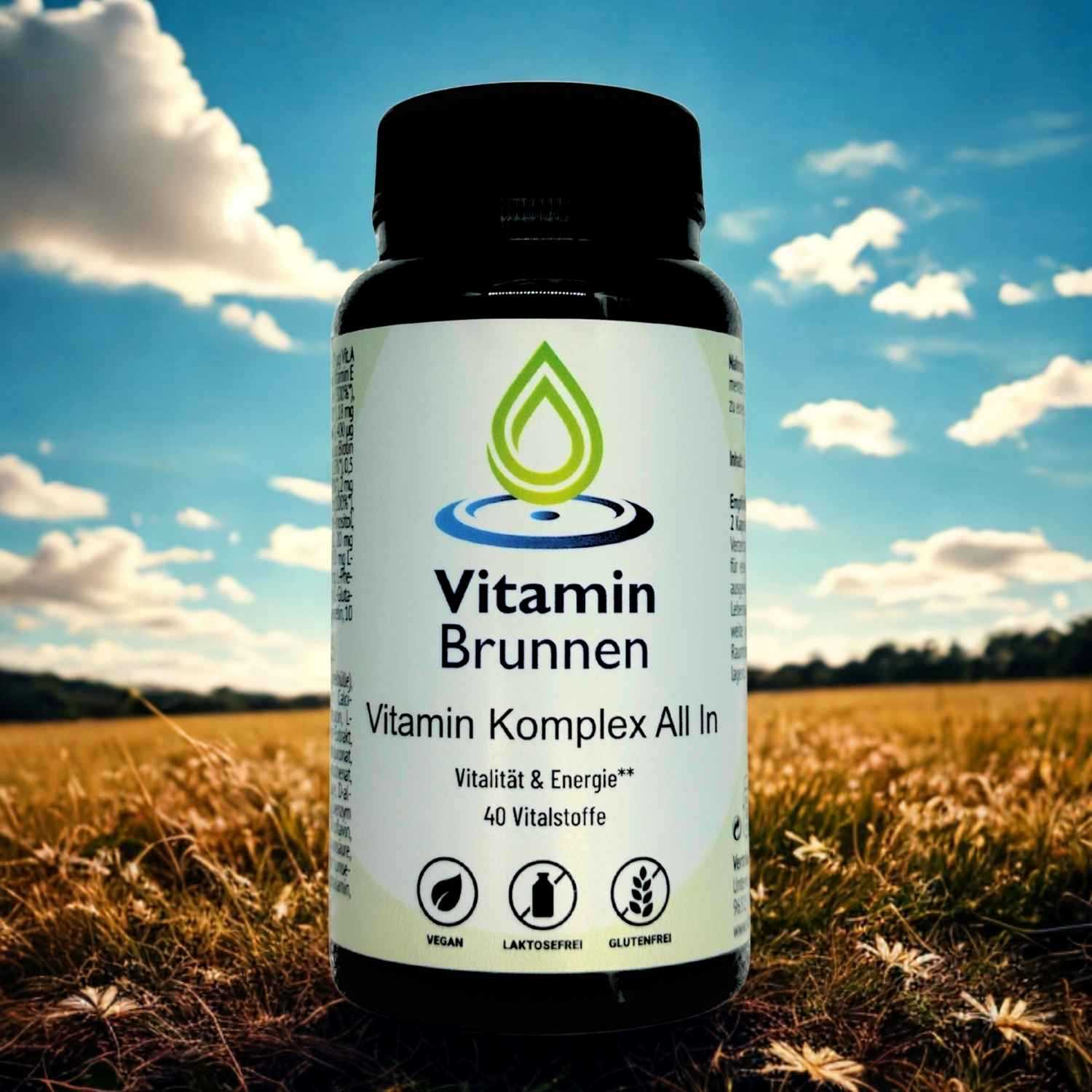 Vitamin-Komplex-Vitaminbrunnen-3