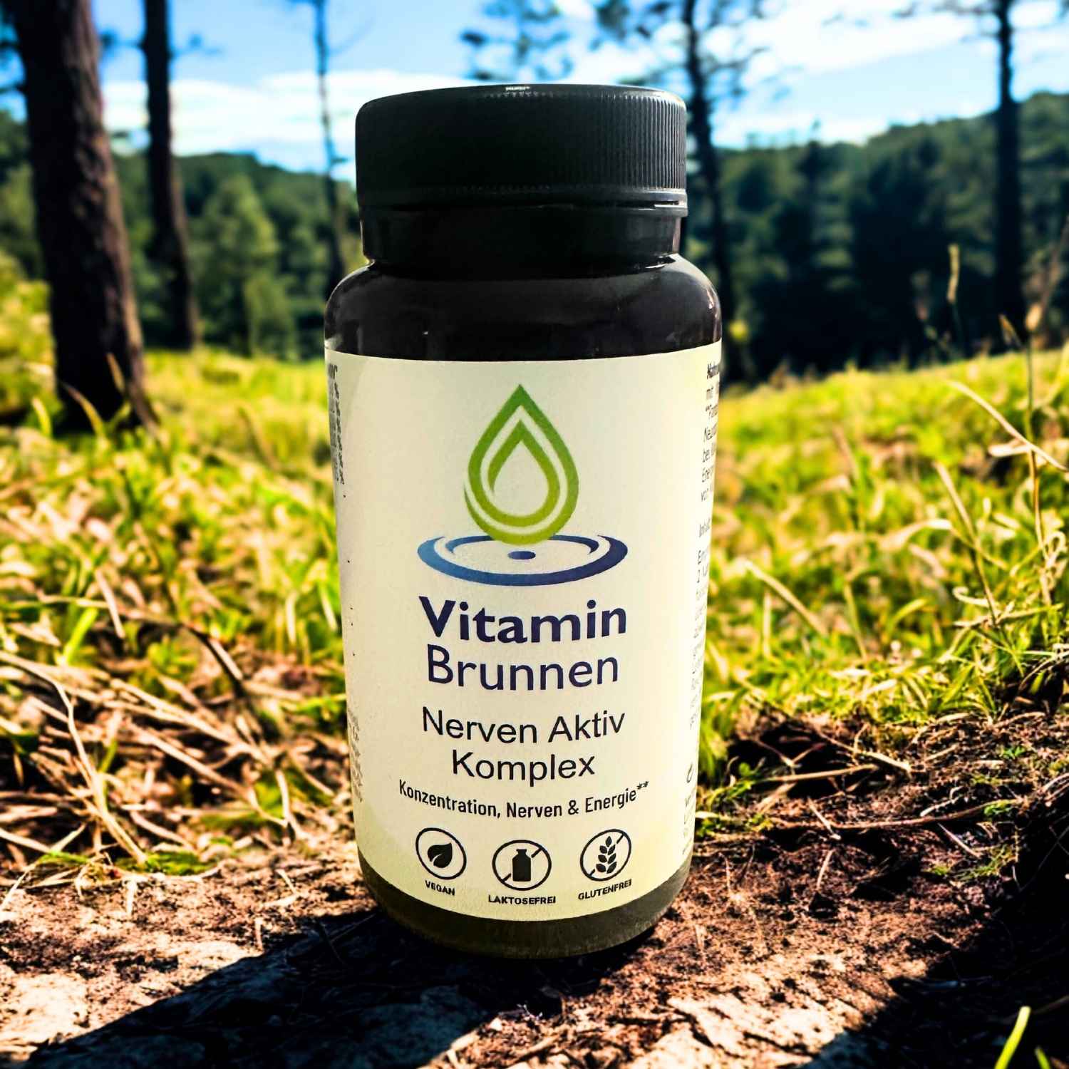 Nerven Aktiv Komplex Kapseln vegan 60 Stk.