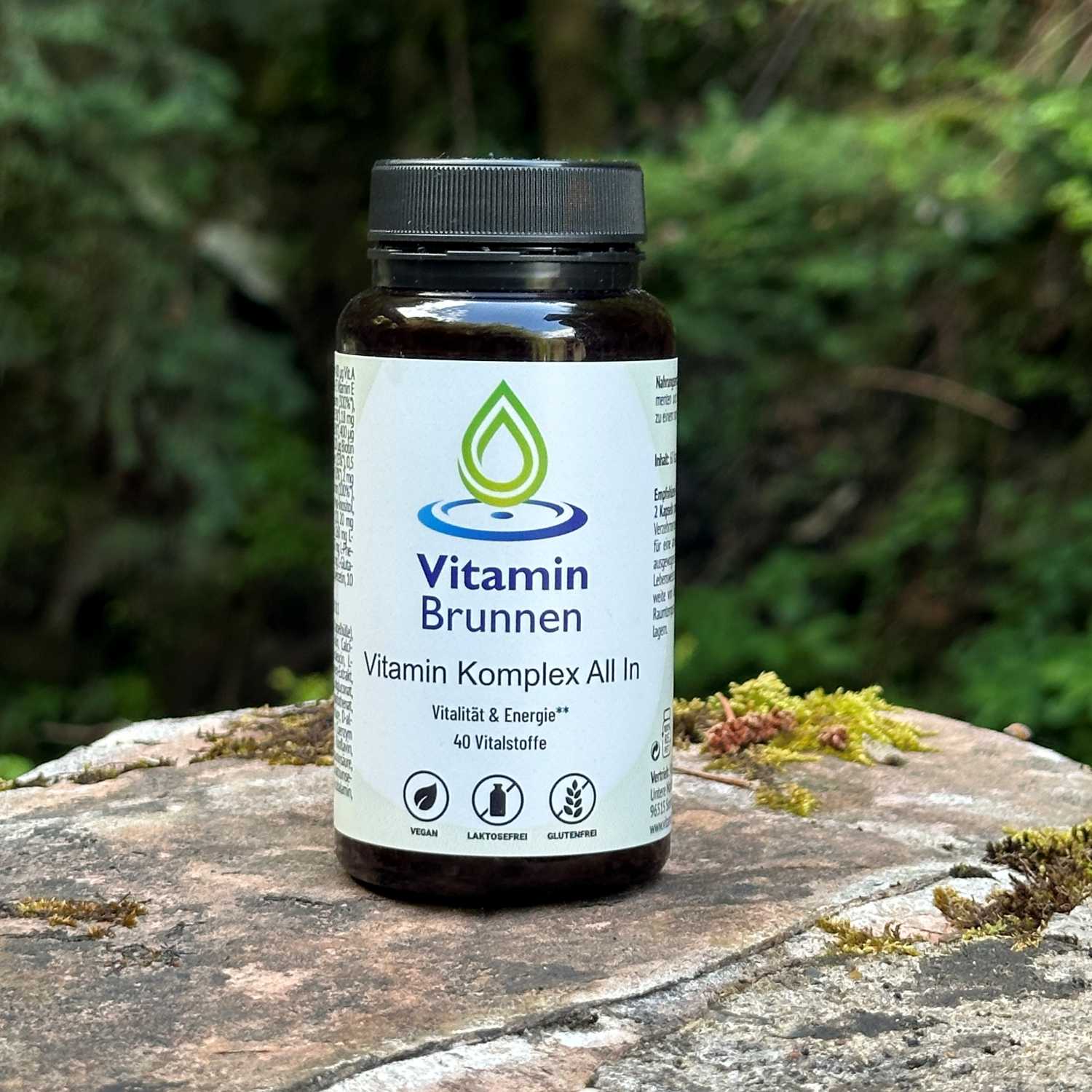 Vitamin-Komplex-Vitaminbrunnen-2