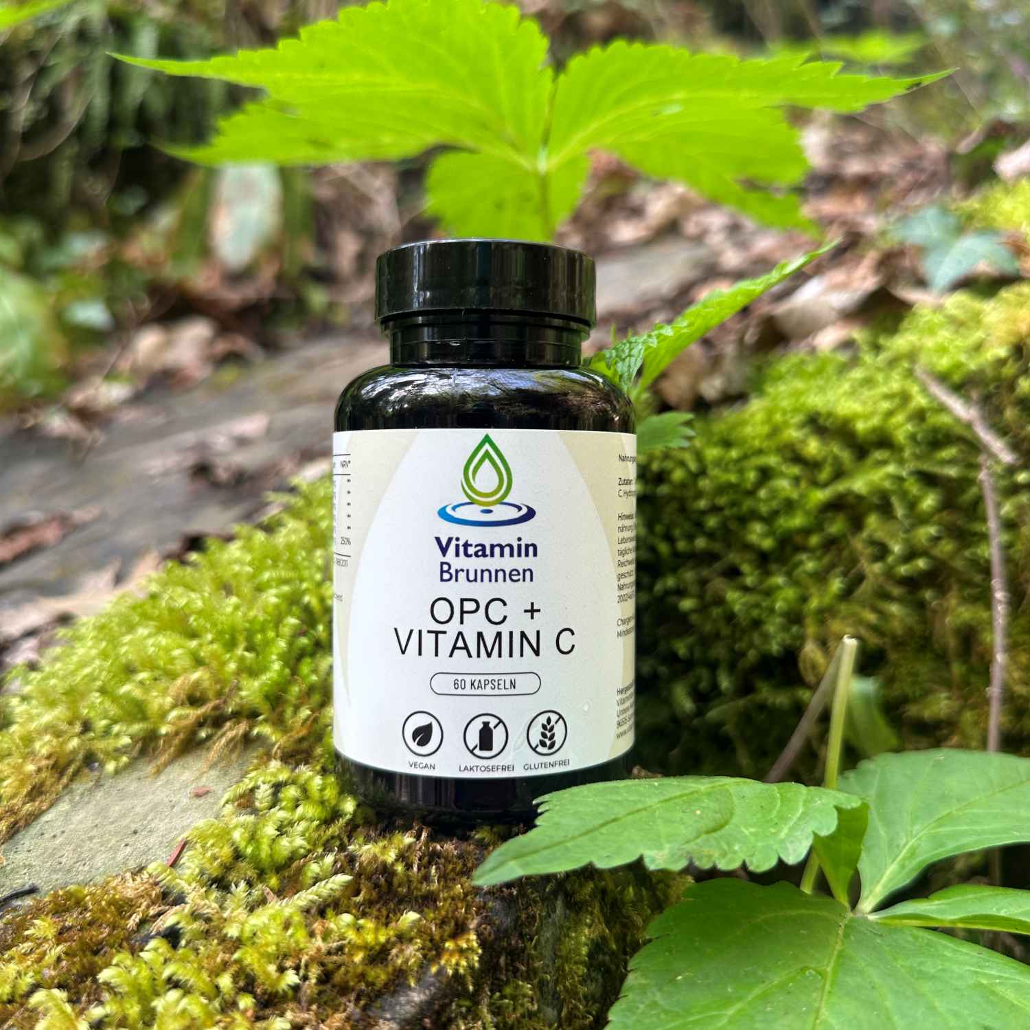 OPC + Vitamin C Kapseln vegan 60 Stk.